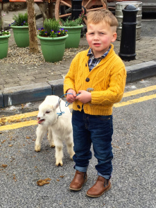 Reality: Travellers and the casual animal cruelty I witnessed. 