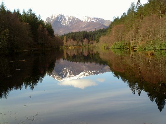 My beautiful picture