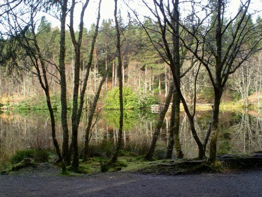 My beautiful picture