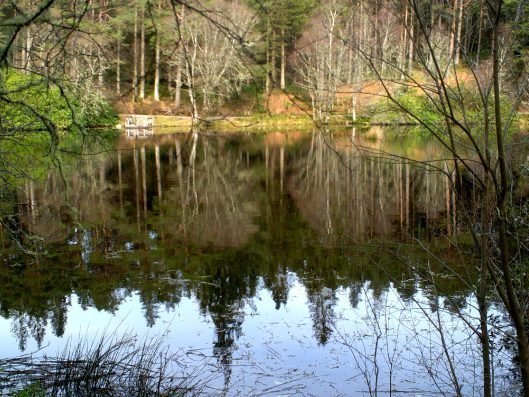 My beautiful picture