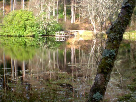 My beautiful picture