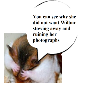 zhamstdickensnnsnsnsnsnsnsns