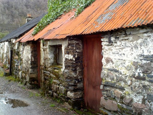 My beautiful picture