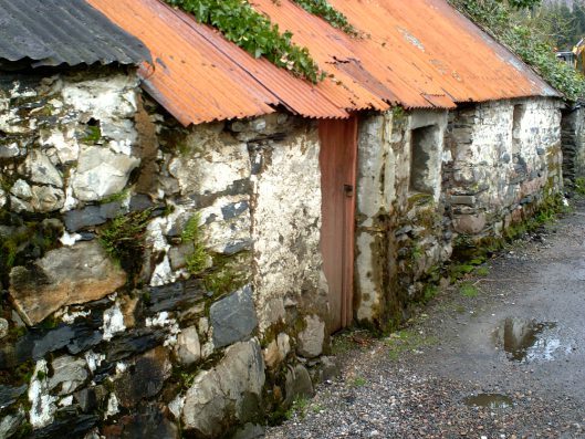 My beautiful picture