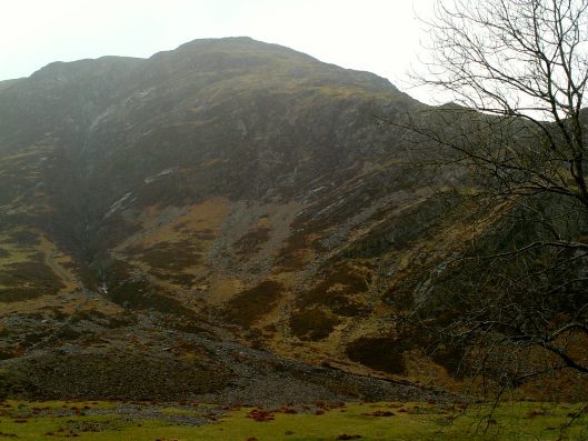 My beautiful picture