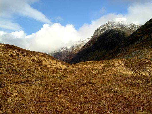 My beautiful picture