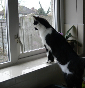 2016-02-10 10.30.54 (2)