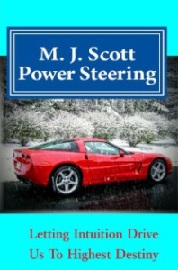 Power Steering ebook cover same as Hardbook thumbnail