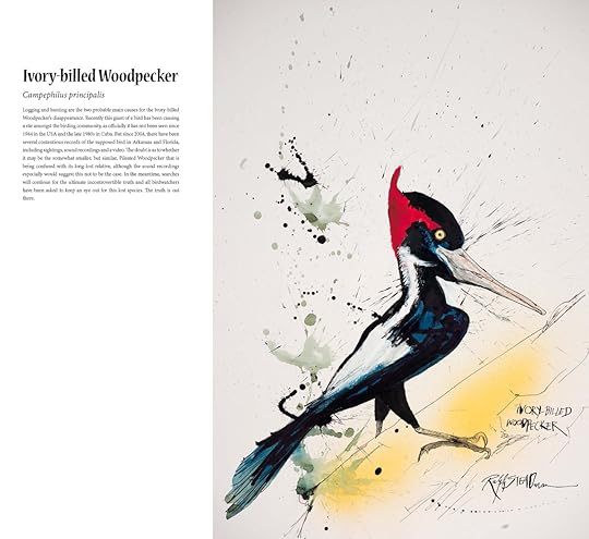 英BOOKS Photo Book Ralph Steadman - Between The Eyes