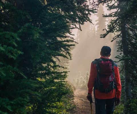 Photo: Nature calms the brain and heals the body