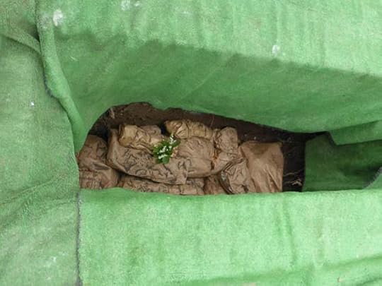 The skeletons were laid to rest together and a funeral was held before they were reburied.