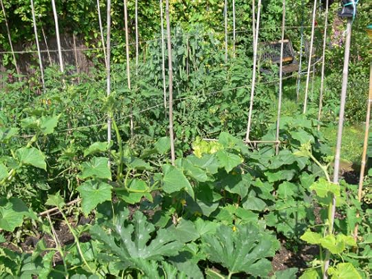 photos apr to july 2012 067