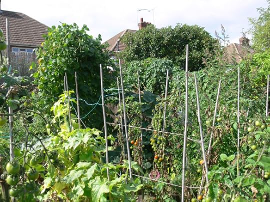 aug to dec 2012 photos 079