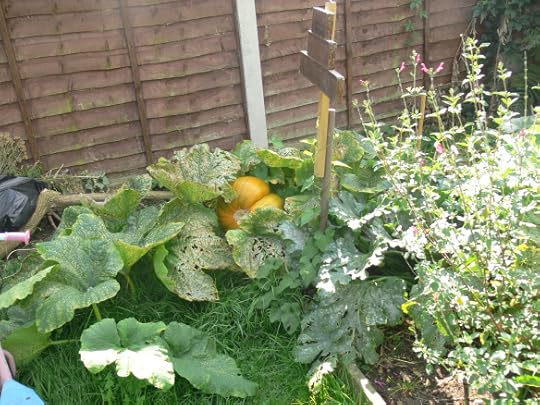 aug to dec 2012 photos 076