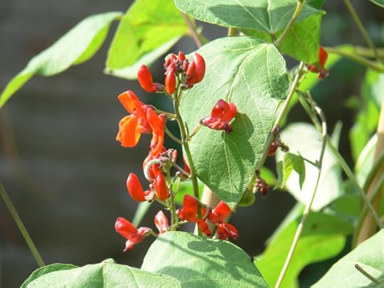 photos apr to july 2012 065