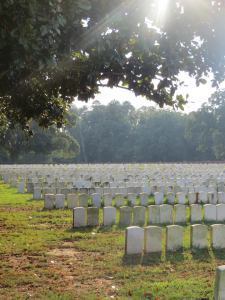 10448786_800669723279245_4262014867699204442_n