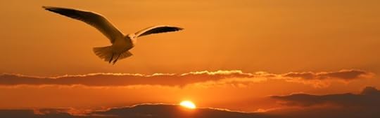 banner-1090835__340