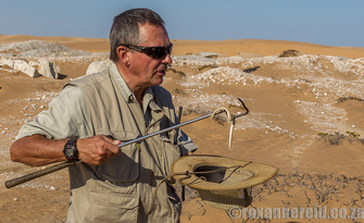 Swakopmund dune creatures