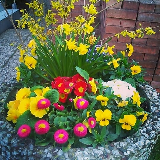Spring flower medley