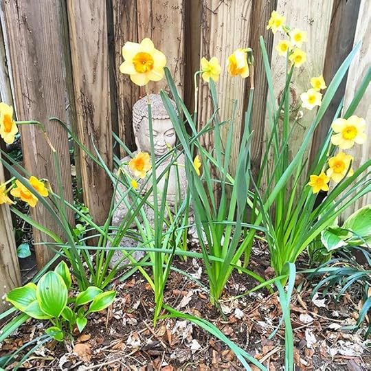 12930928_812439715566574_1922577560_n