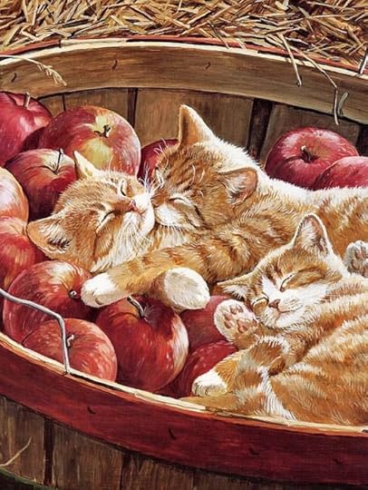 kittens in the apples: 