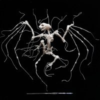 Photograph by Caitlin McCormack