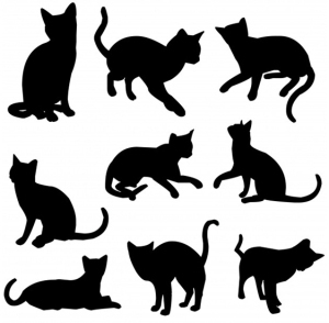 cats