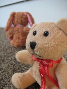 Sad teddy bear estranged from stuffed bunny