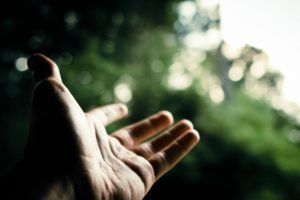Dazzling language in stories