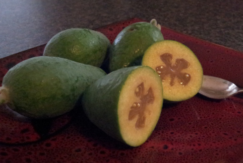 feijoa on the inside 003