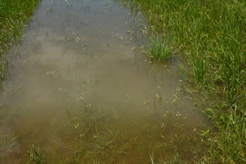 H2O-quality--sediment-from-construction-yd-4-18-16