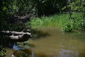 North-end-creek-4-18-16