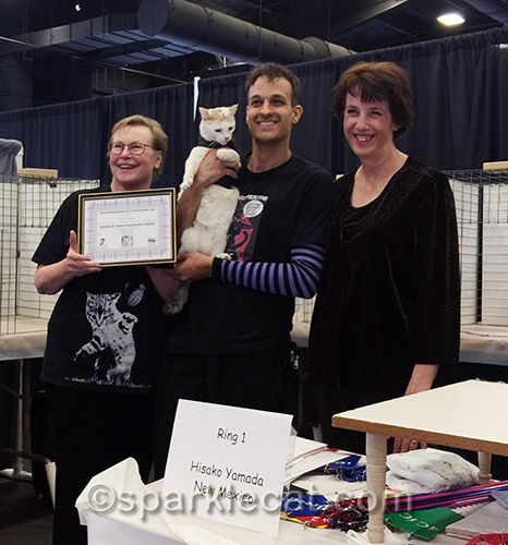 Scott Gross and Misha, receiving Misha's TICA registration