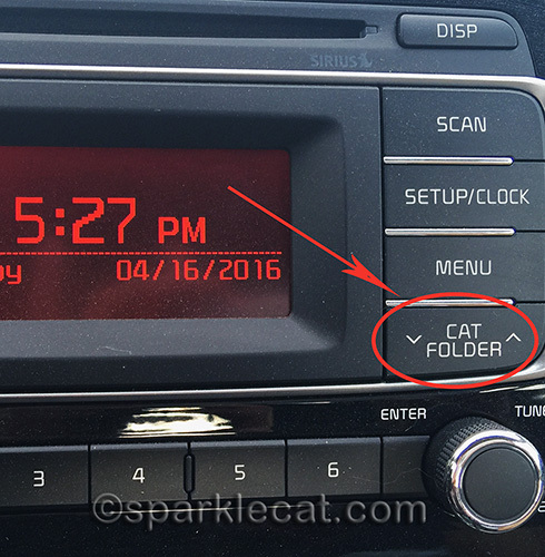 dashboard on car with cat folder