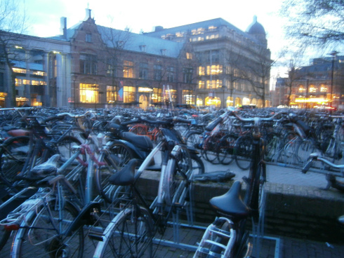 OLYMPUS DIGITAL CAMERA