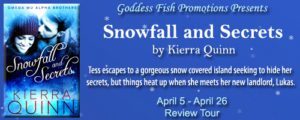 Reviews_SnowfallAndSecrets_Banner copy