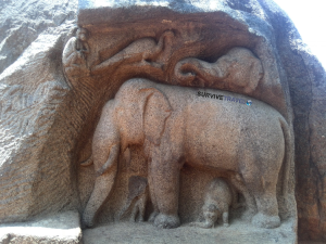 Mahabalipuram Review - 1 - Survive Travel