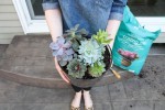 how-to-make-a-terrarium-21