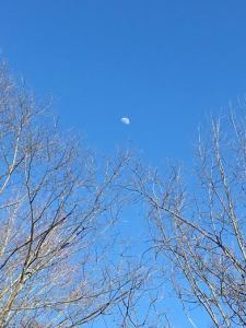 06a3dd6f-612f-45f6-bc75-0863d3209549