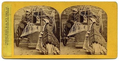 Stereoscope photograph by Michael Burr