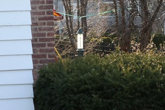 The empty bird feeder at Chateau Steelypips glowing in the morning light.