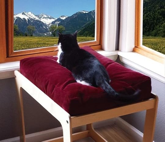cat-window-seat