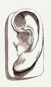 2016-04-13ear