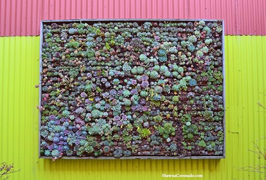 Flora Grubb Living Wall Photo copyright Shawna Coronado