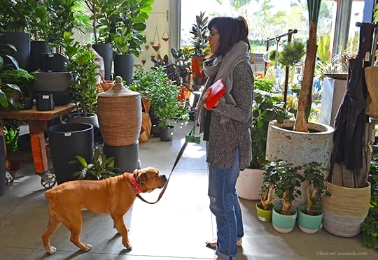Flora Grubb Shopping with Dog Photo copyright Shawna Coronado