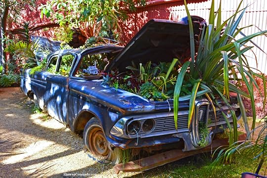 Flora Grubb Planted Garden Car Photo copyright Shawna Coronado