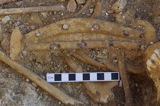 A decorated bone comb found during the excavation of a grave.