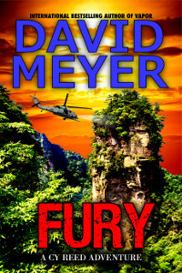 FURY by David Meyer