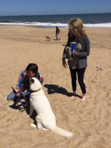 Rehoboth4