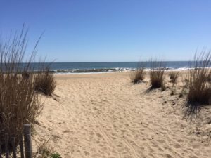 Rehoboth2